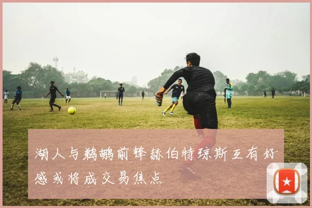 湖人与鹈鹕前锋赫伯特琼斯互有好感或将成交易焦点